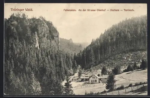 AK Falkenstein / Thür. Wald, An der Strasse Oberhof - Dietherz - Tambach