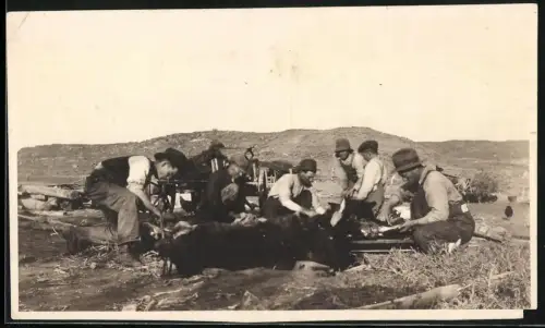 Fotografie Bärenjäger zerlegen erlegten Bär für Fell und Knochen