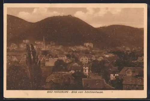 AK Bad Harzburg, Blick vom Schützenhause