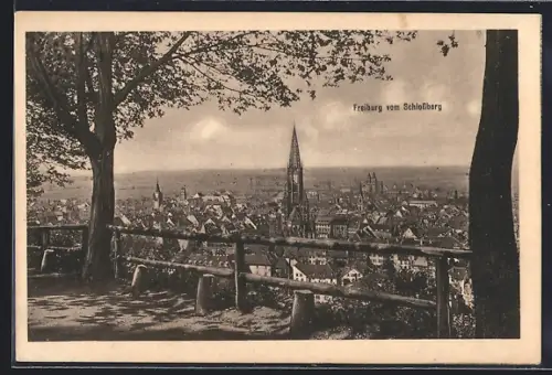 AK Freiburg / Breisgau, Teilansicht mit Kirche vom Schlossberg