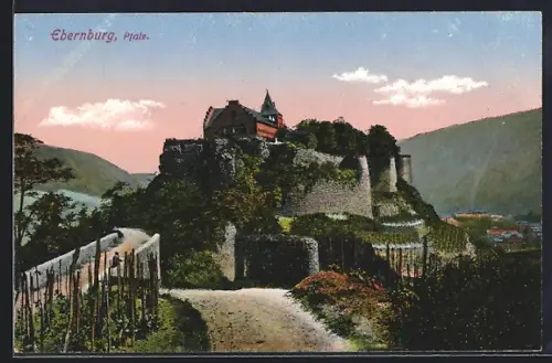 AK Ebernburg /Pfalz, Burganlage