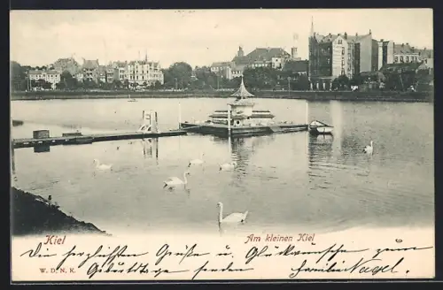AK Kiel, Am kleinen Kiel, See mit Schwänen und Uferbebauung