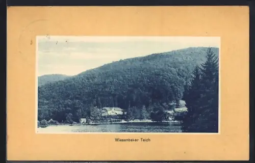 AK Bad Lauterberg /Harz, Wiesenbeker Teich
