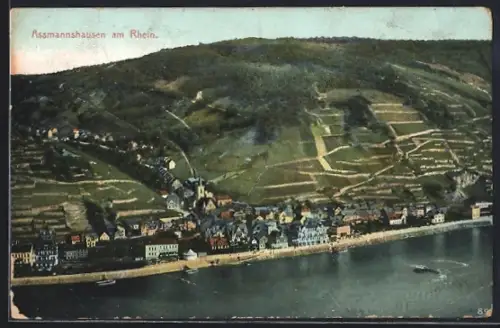 AK Assmannshausen am Rhein, Ortsansicht mit Weinbergen und Rhein
