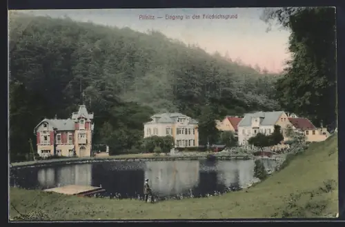 AK Dresden-Pillnitz, Eingang in den Friedrichsgrund, Villen am Teich