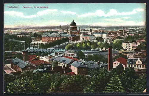 AK Potsdam, Panorama, Brauhausberg