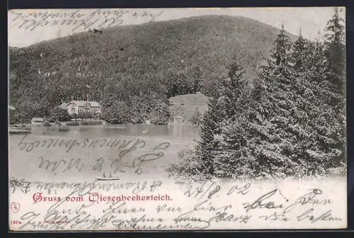 AK Lauterberg / Harz, Wiesenbecker Teich, Teichansicht mit Gebäuden und Wald