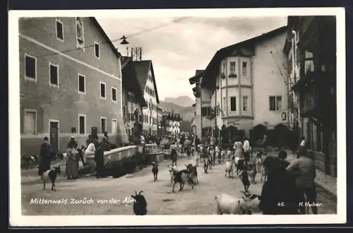 AK Mittenwald, Zurück von der Alm