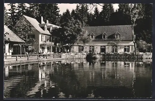 AK Horn in Lippe, Gaststätte Silbermühle, Teutoburger Wald, Eggegebirge, Teichansicht