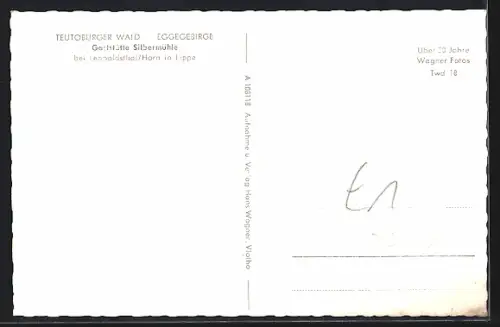 AK Horn in Lippe, Gaststätte Silbermühle, Teutoburger Wald, Eggegebirge, Teichansicht