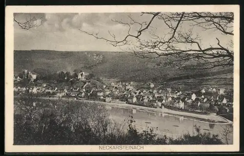 AK Neckarsteinach, Ortsansicht am Neckar