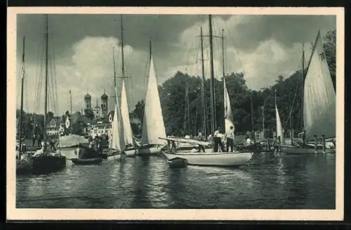 AK Friedrichshafen a. B., Heimkehr von der Regatta, Segelboote, Uferansicht