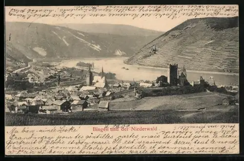 AK Bingen / Rhein, Stadtansicht, Niederwald, Rhein, Burg