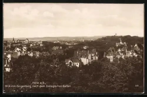 AK Halle a. S., Blick vom Galgenberg nach dem Zoologischen Garten