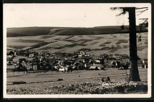AK Crottendorf /Erzg., Ortsansicht, Felder, Panorama