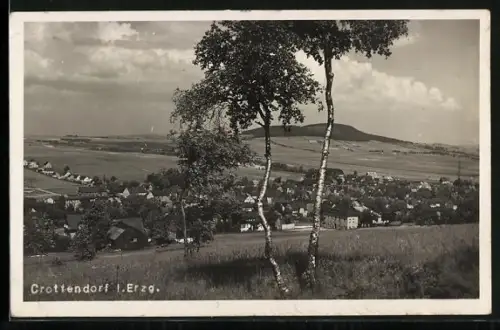 AK Crottendorf i. Erzg., Ortsansicht mit Landschaft und Berg im Hintergrund