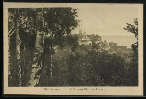 AK Hamburg-Blankenese, Blick vom Bismarckstein