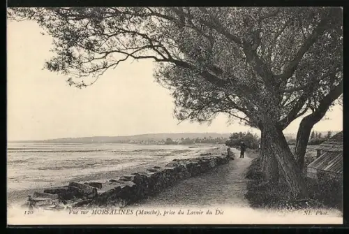 AK Morsalines /Manche, Vue sur Morsalines prise du Lavoir du Die