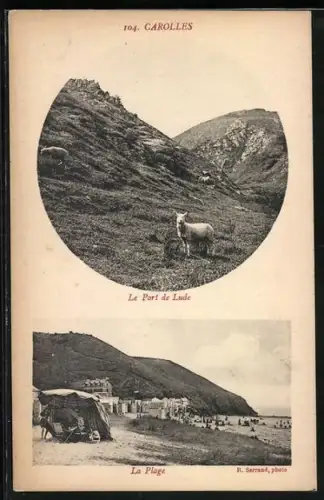 AK Carolles, Le Port de Lude et la Plage animée de baigneurs et tentes