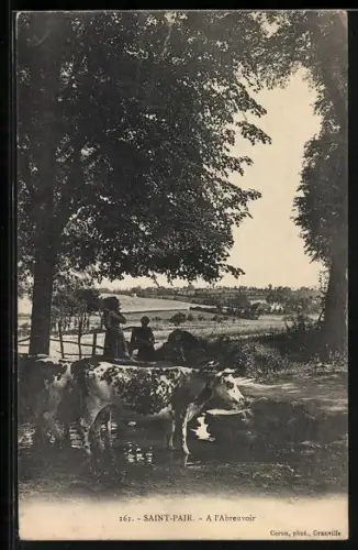 AK Saint-Pair, À l`abreuvoir avec des vaches et une scène pastorale