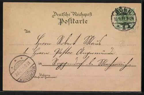 Lithographie Bonn, Drachenfels, Ruine Godesberg, Kaiserplatz