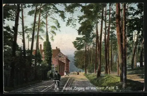 AK Halle /Saale, Heide Eingang mit Gasthaus Waldkater und Radfahrer