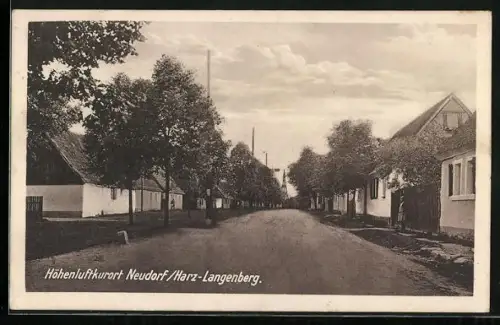 AK Neudorf / Harz, Strassenpartie im Ort