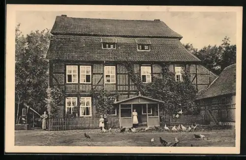 AK Suderode /Harz, Gasthof Neue Schenke