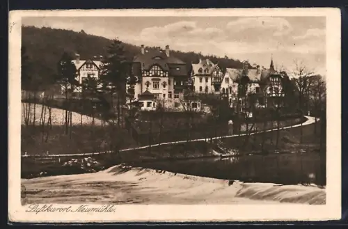 AK Neumühle / Elster, Villen am Ortsrand