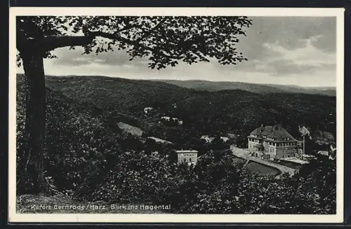 AK Gernrode / Harz, Hotel Hagenthal