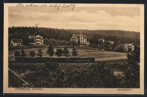 AK Gernrode / Harz, Panorama der Osthöhe