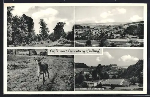 AK Lauenberg /Solling, Eichen-Hochwald, Freibad am Südausgang, Rehkitz