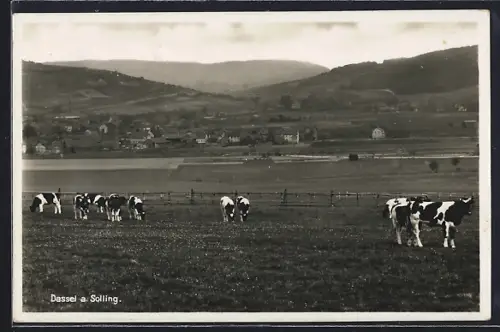 AK Dassel a. Solling, Ortspartie mit Kühen