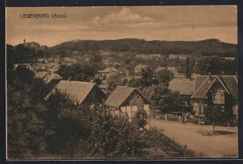 AK Liebenburg /Harz, Ortspartie mit Strasse