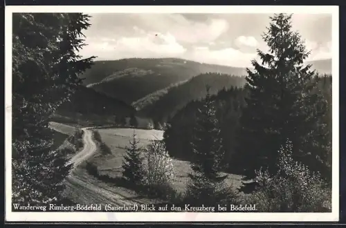 AK Bödefeld /Sauerland, Wanderweg Rimberg-Bödefeld mit Blick auf den Kreuzberg