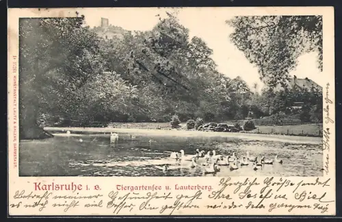AK Karlsruhe i. B., Tiergartensee und Lauterberg