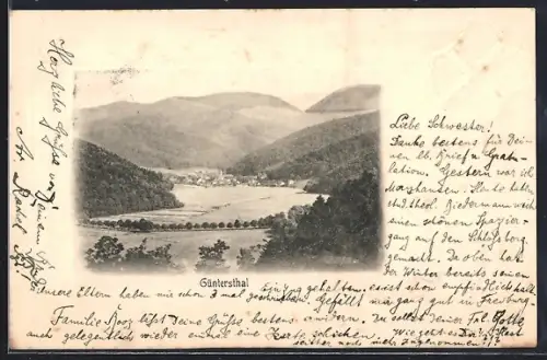 Präge-AK Güntersthal / Freiburg, Panorama mit Bäumen