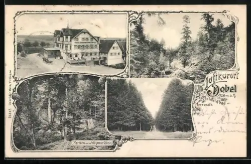 AK Dobel b. Wildbad, Hotel u. Pension Sonne, Partie vom Valzemer Stein