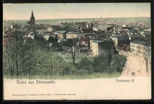 AK Eberswalde, Panorama mit Strassenpartie