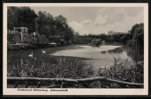 AK Wittenberg / Elbe, Schwanenteich