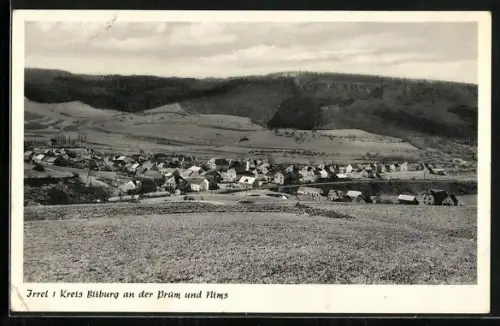 AK Irrel /Bitburg, Ortsansicht an der Prüm und Nims