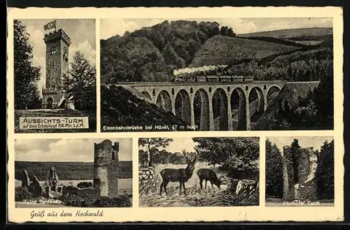 AK Hoxel, Aussichtsturm aud dem Erbeskopf, Eisenbahnbrücke, Ruine Baldenau, Stumpfer Turm, 