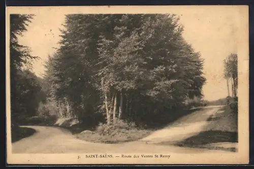 AK Saint-Saëns, Route des Ventes St Rémy avec forêt environnante