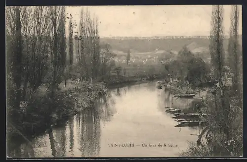 AK Saint-Aubin, Un bras de la Seine