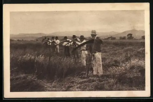 AK Bauern mit der Handsense bei der Arbeit auf dem Feld