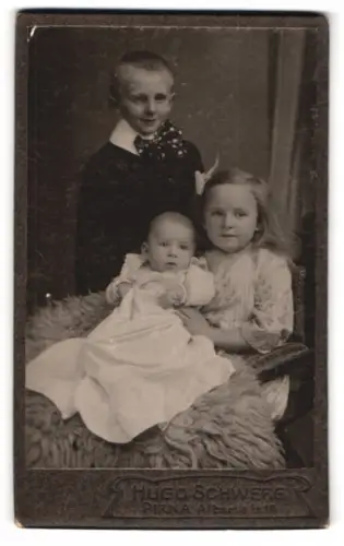 Fotografie Hugo Schwerg, Pirna, Albertstr. 13, Kinderporträt mit drei Geschwistern