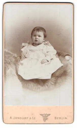 Fotografie A. Jandorf & Co, Berlin, Spittelmarkt 16/17, Porträt eines Kleinkinds