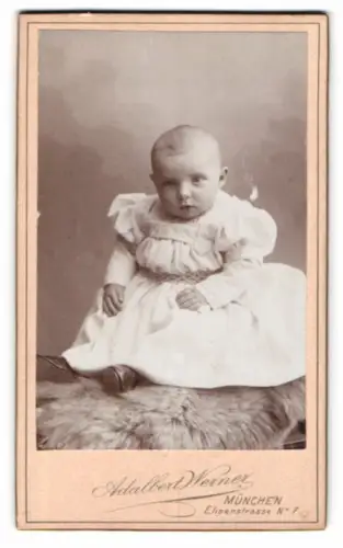 Fotografie Adalbert Werner, München, Elisenstrasse 7, Porträt eines kleinen Kindes