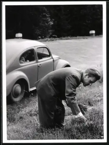 Fotografie Auto VW. Käfer, Mann pflückt Blumen am Strassenrand