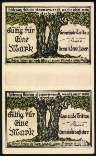 Notgeld Trittau / Holstein, 2 Mark, Gasthaus Hinsch und Ortsansicht, Landschaft mit Bäumen
